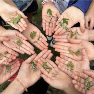 1r PRI - Parc de les olors